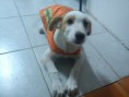 /album/fotogaleria/dsc00240-jpg1/