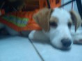 /album/fotogaleria/dsc00259-jpg1/